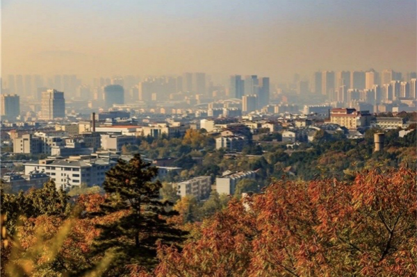 文章附图